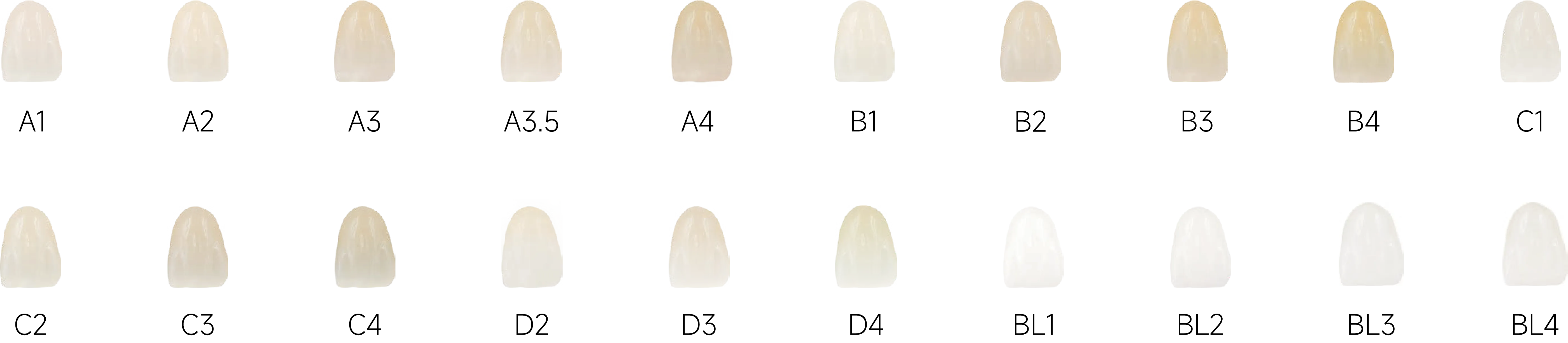 魅影ESTHETIC_6.webp