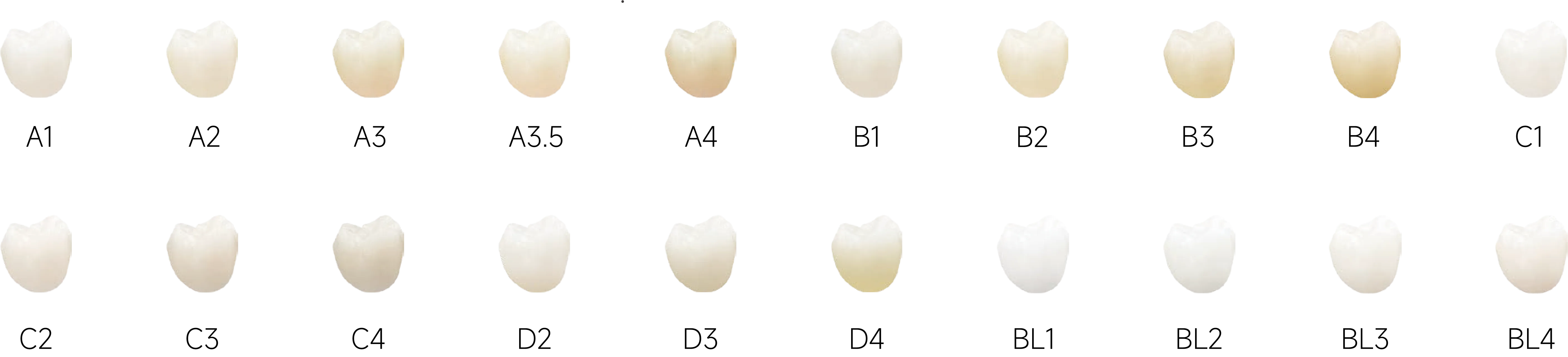 魅影FUNCTIONAL_6.webp