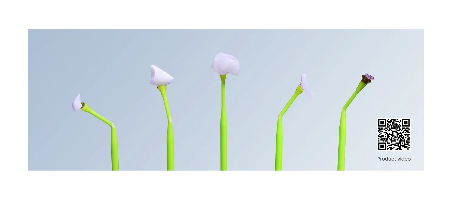 2-stick.webp